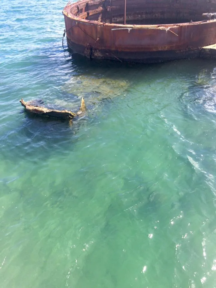 The Submerged wreck of the USS Arizona