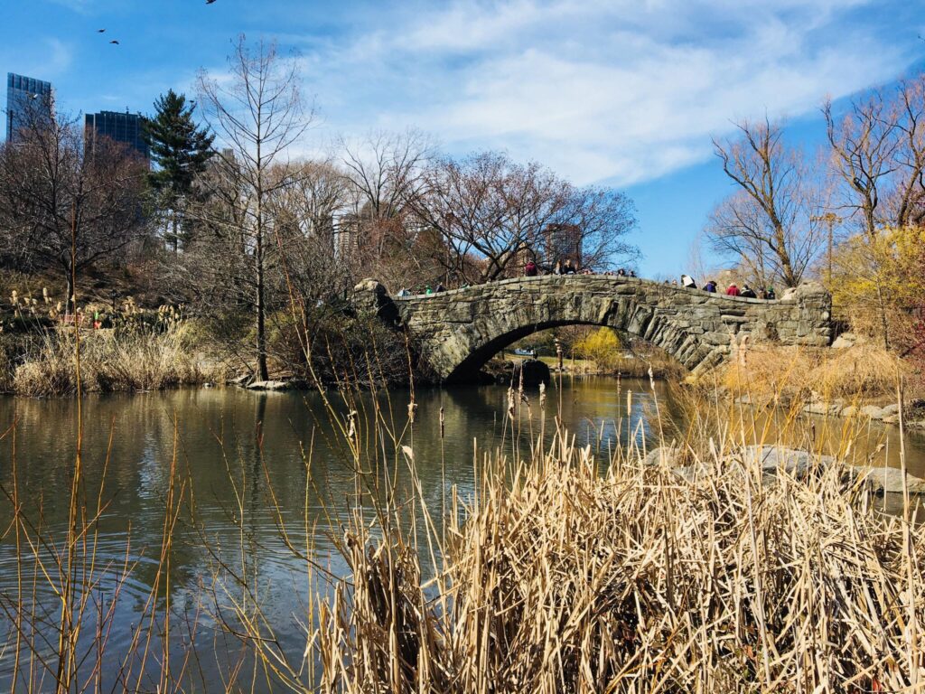 Top 10 Things To Do In New York -Gapstow Bridge Central Park